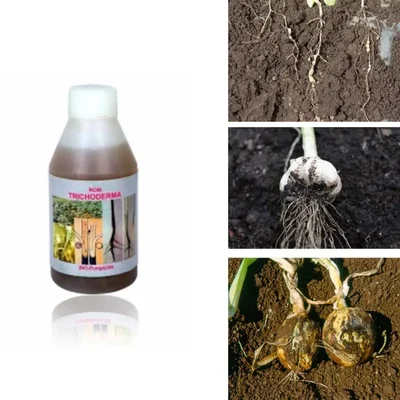 ROM 1 liter Trichoderma Harzianum Liquid | Biofungicide | Bio Control Agent